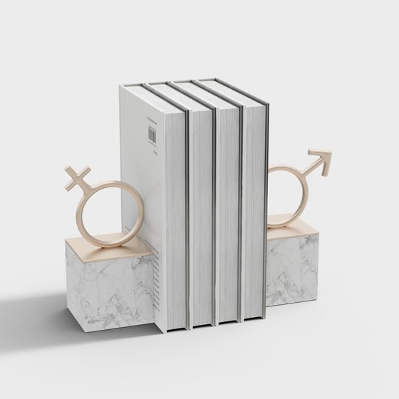 Gender Balance Bookshelf 3D model for Modern Interiors