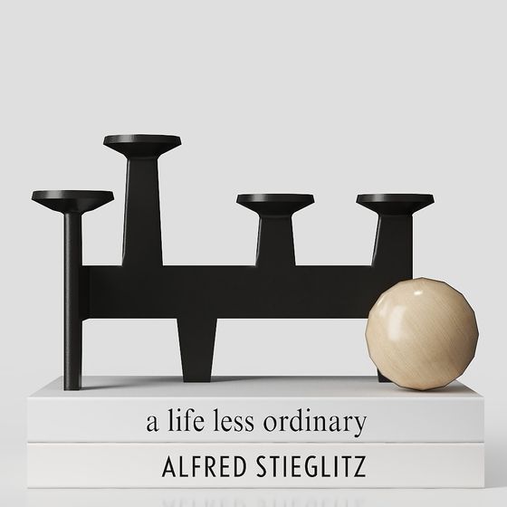 Alfred Stieglitz Artistic 3D Model for Creative Projects