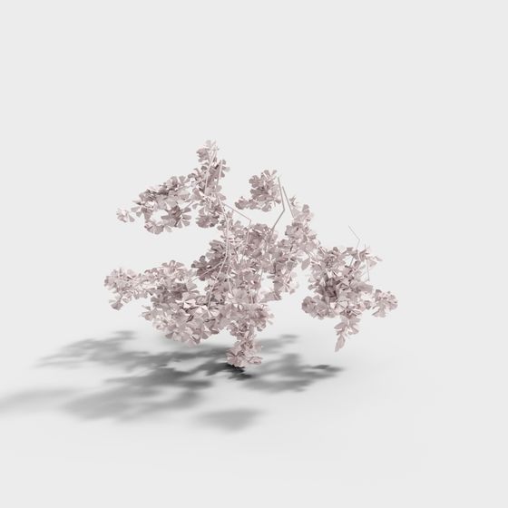 Cherry Blossom Tree 3D model