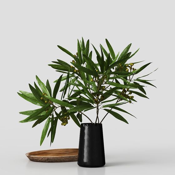 Stylish Low Polygon Plant 3D model for Design Projects