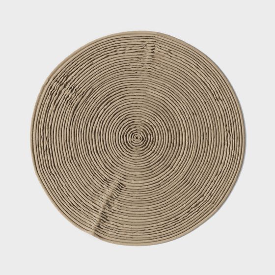 Tree Ring 3D Model