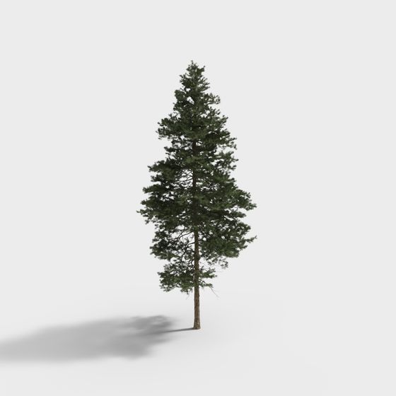 Realistic Pine Tree 3D model for Creative Projects