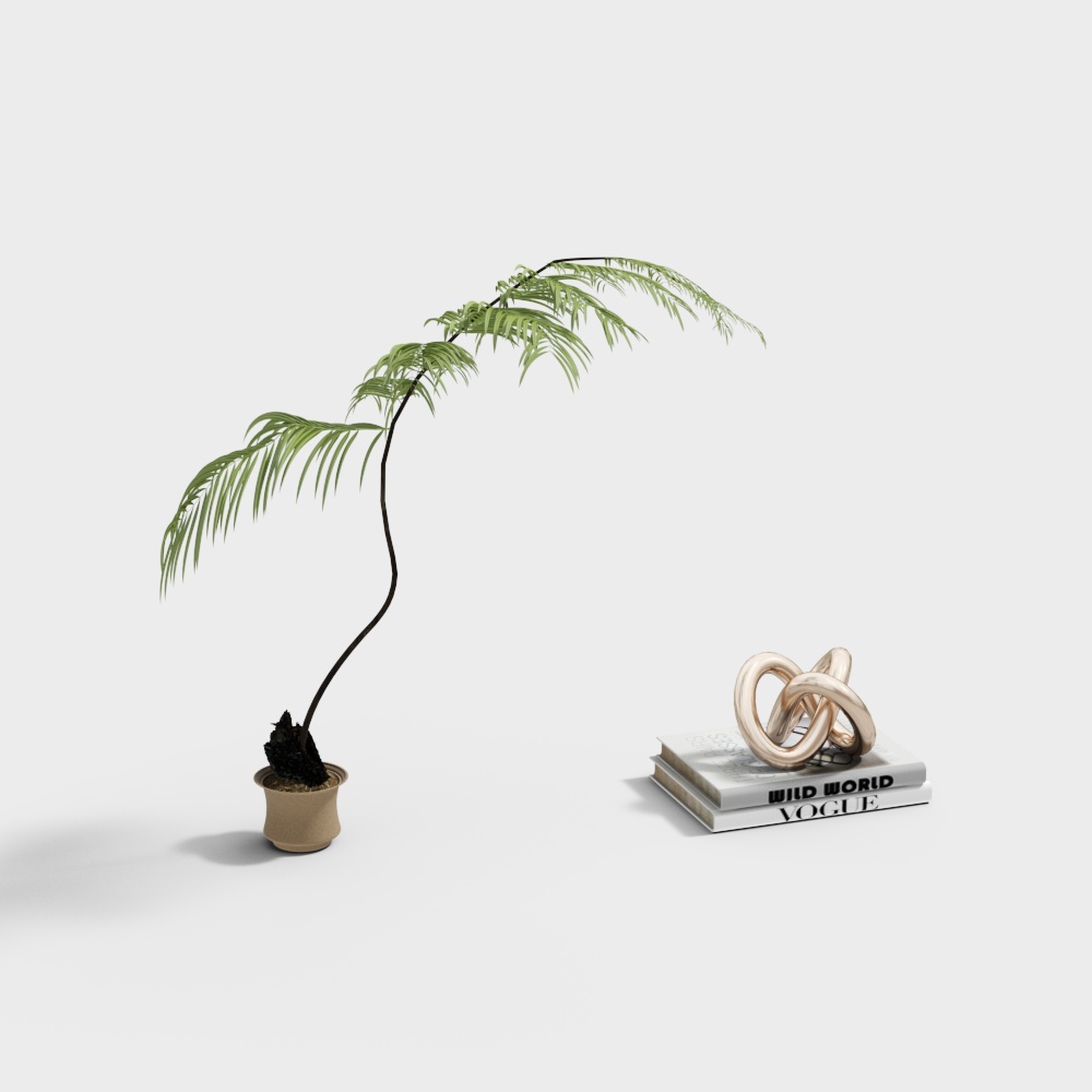 Modern green plants, books and ornaments combination