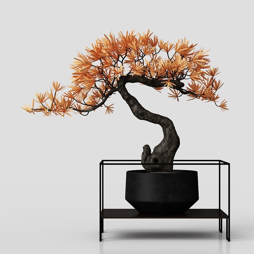 Đồ trang trí bonsai Tân Trung Hoa