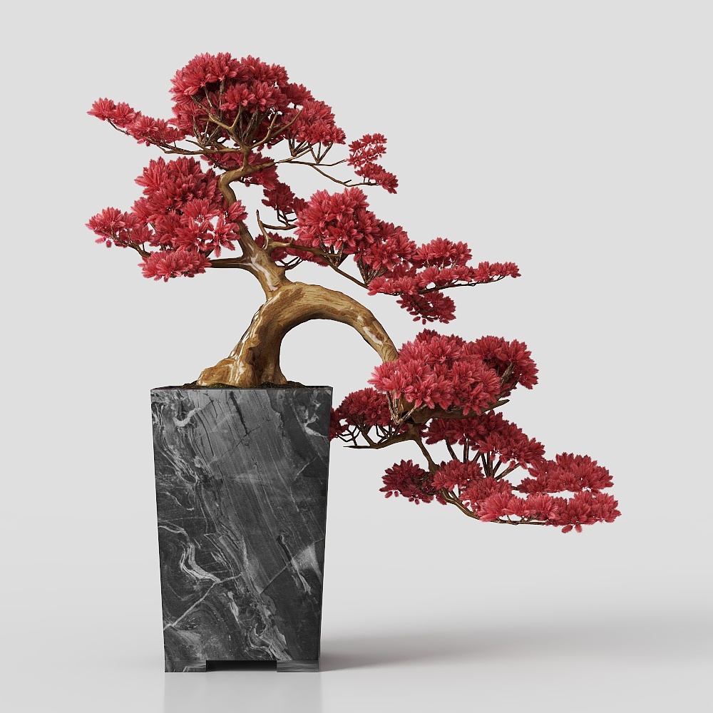 Red Leaf Bonsai 3D model
