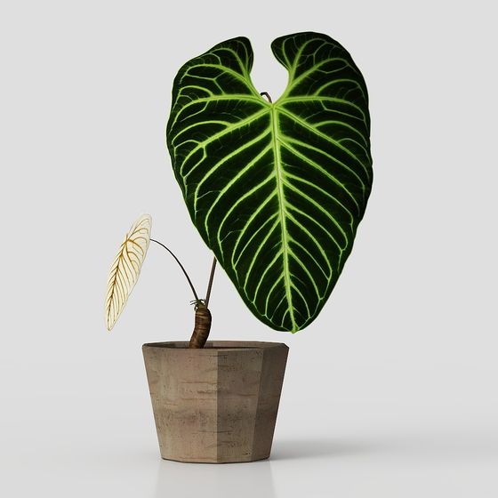 Urban Greenery 3D model for Modern Interiors