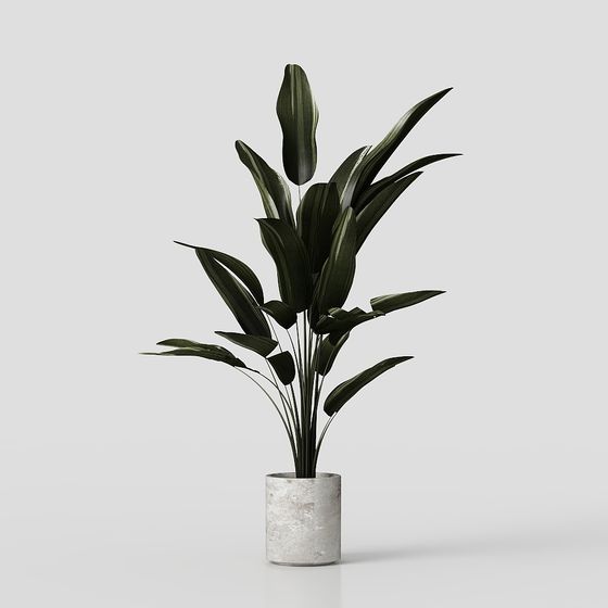 Urban Oasis 3D Model - Lively Indoor Plant