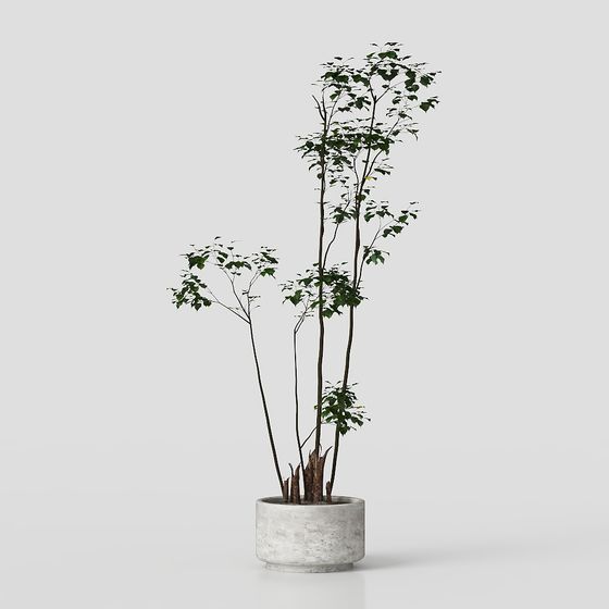 Urban Greenery 3D model