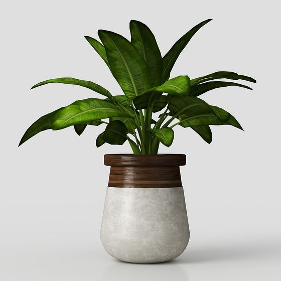 Lush Green Potted Plant 3D model