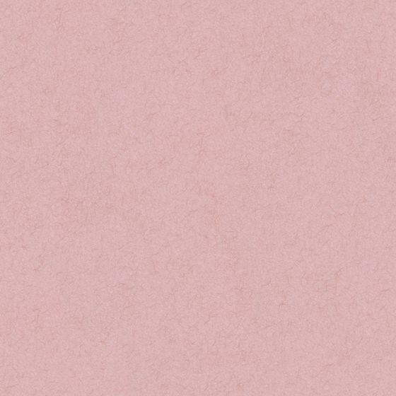 Cloud Silk Brocade - Wall paint/paint