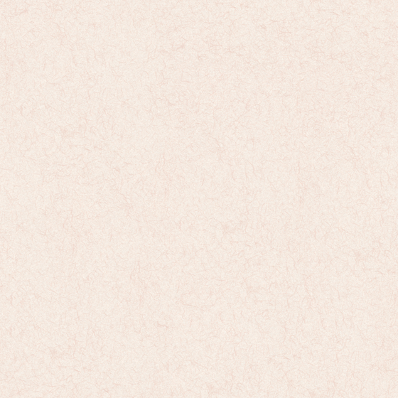 Gray Cloud Silk Brocade Wall Paint 3D Model