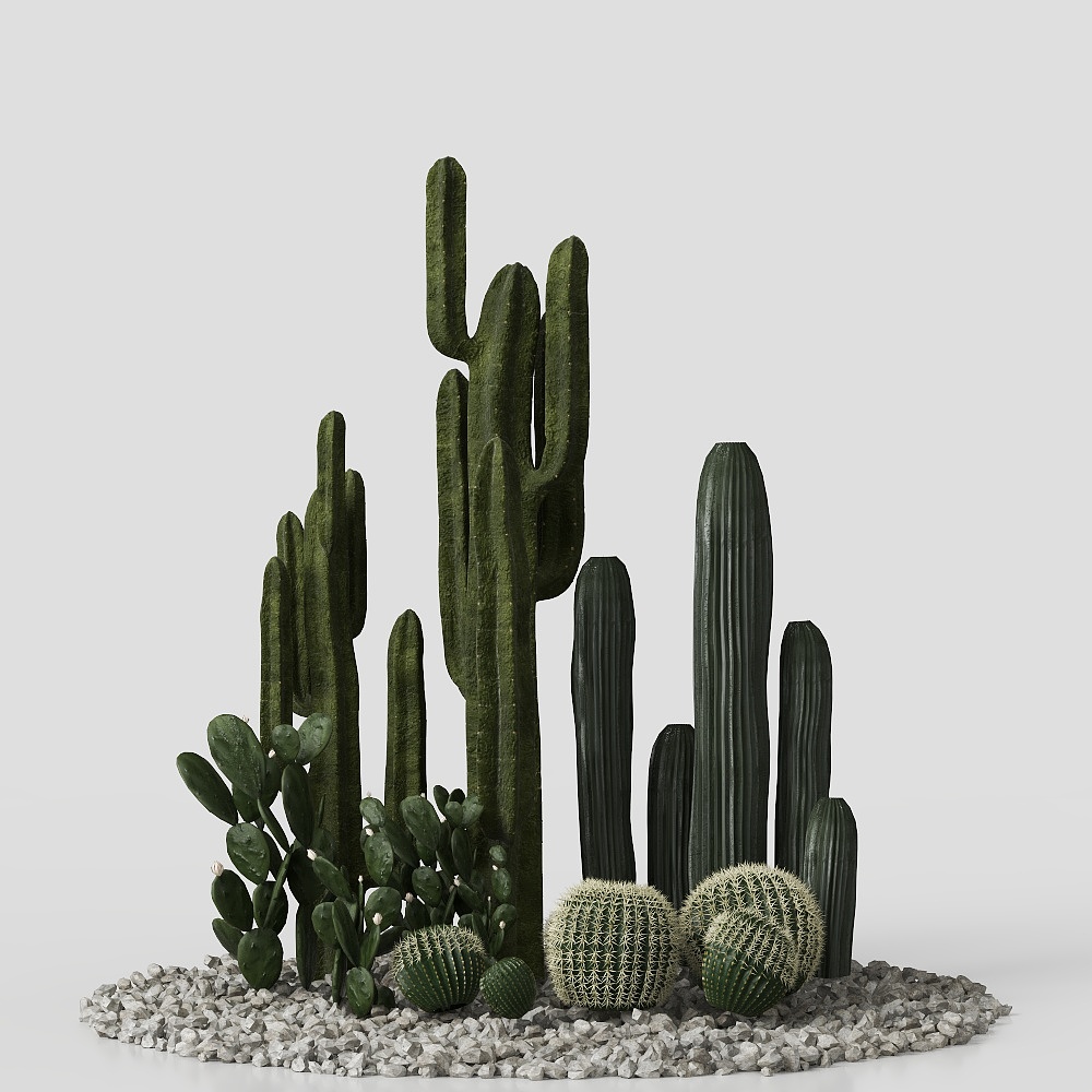 Desert Oasis 3D Model – Detailed Cacti and Rocks