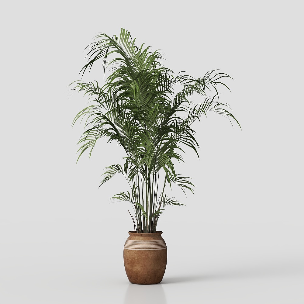 녹색 화분 식물