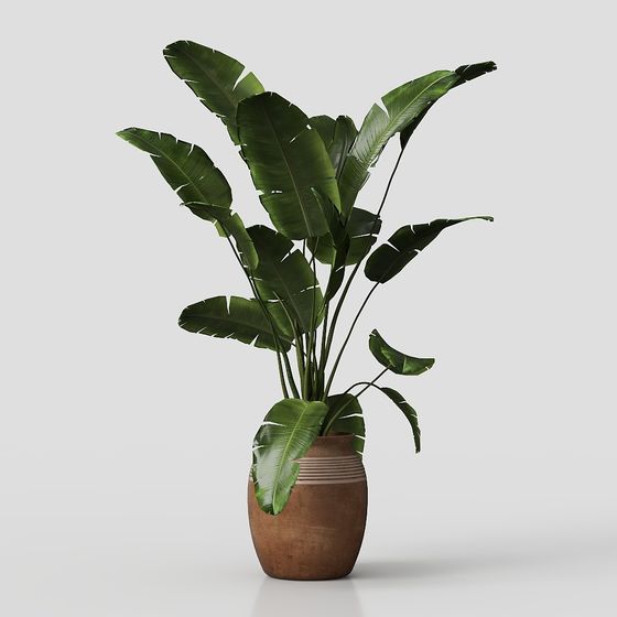 Tropical Plant 3D Model for Creative Design