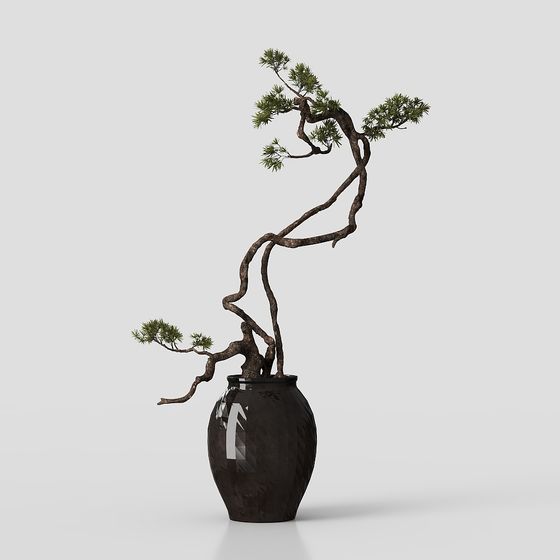Bonsai Tree in Pot 3D model for Creative Projects