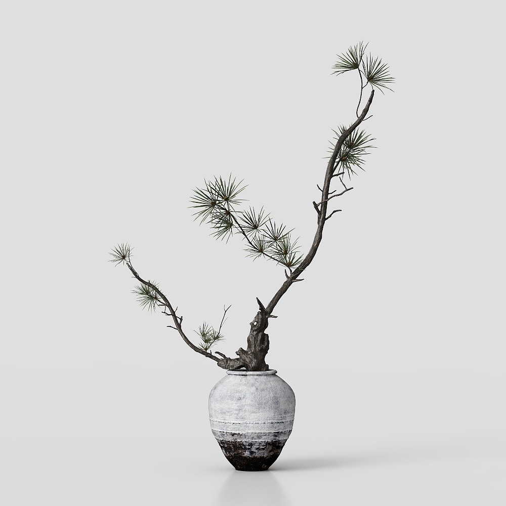 Elegant Bonsai Tree 3D Model – Low-Poly Green Foliage