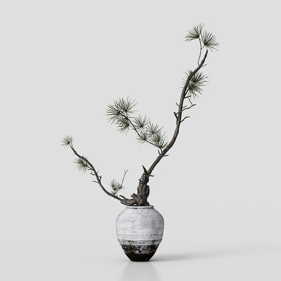 Elegant Bonsai Tree 3D model