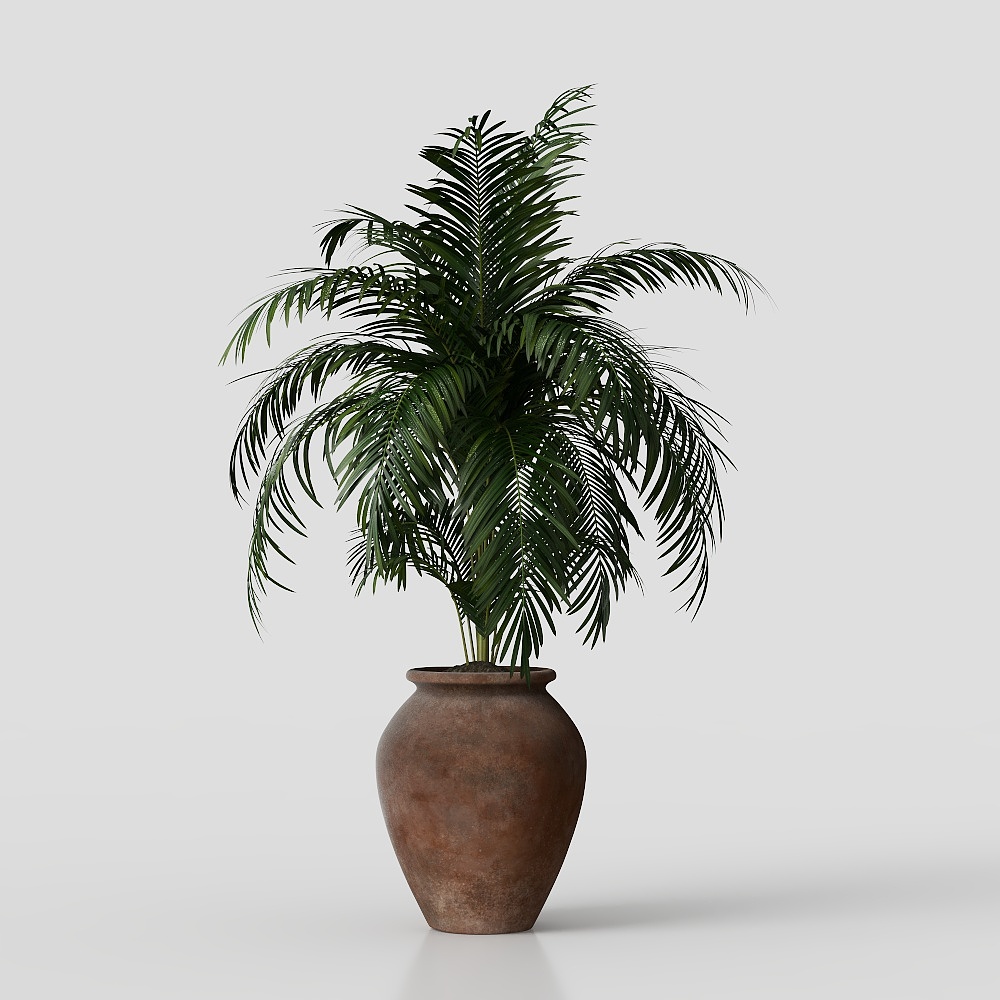 Plantes en pot vertes