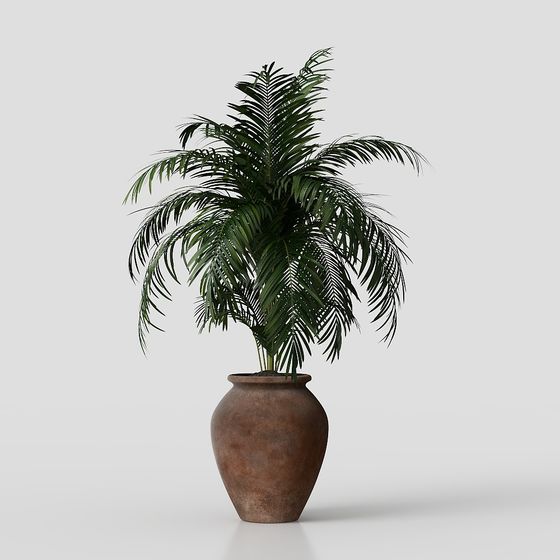 Plantes en pot vertes