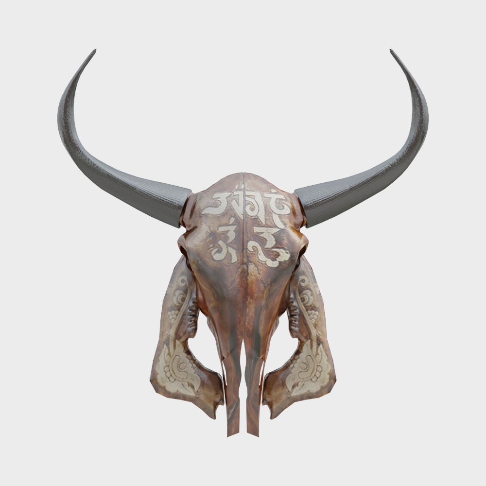 Ancient Bison Skull 3D model