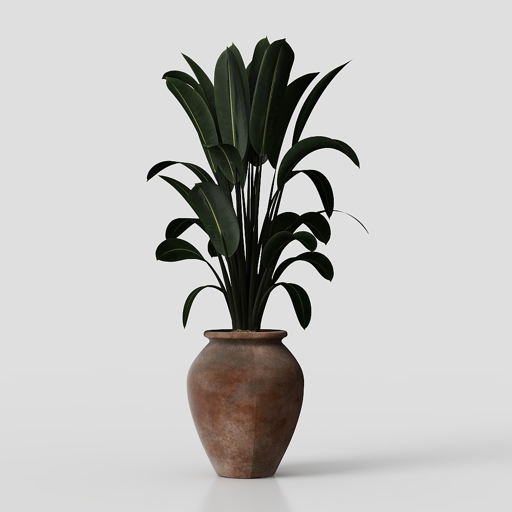 Plantes en pot vertes