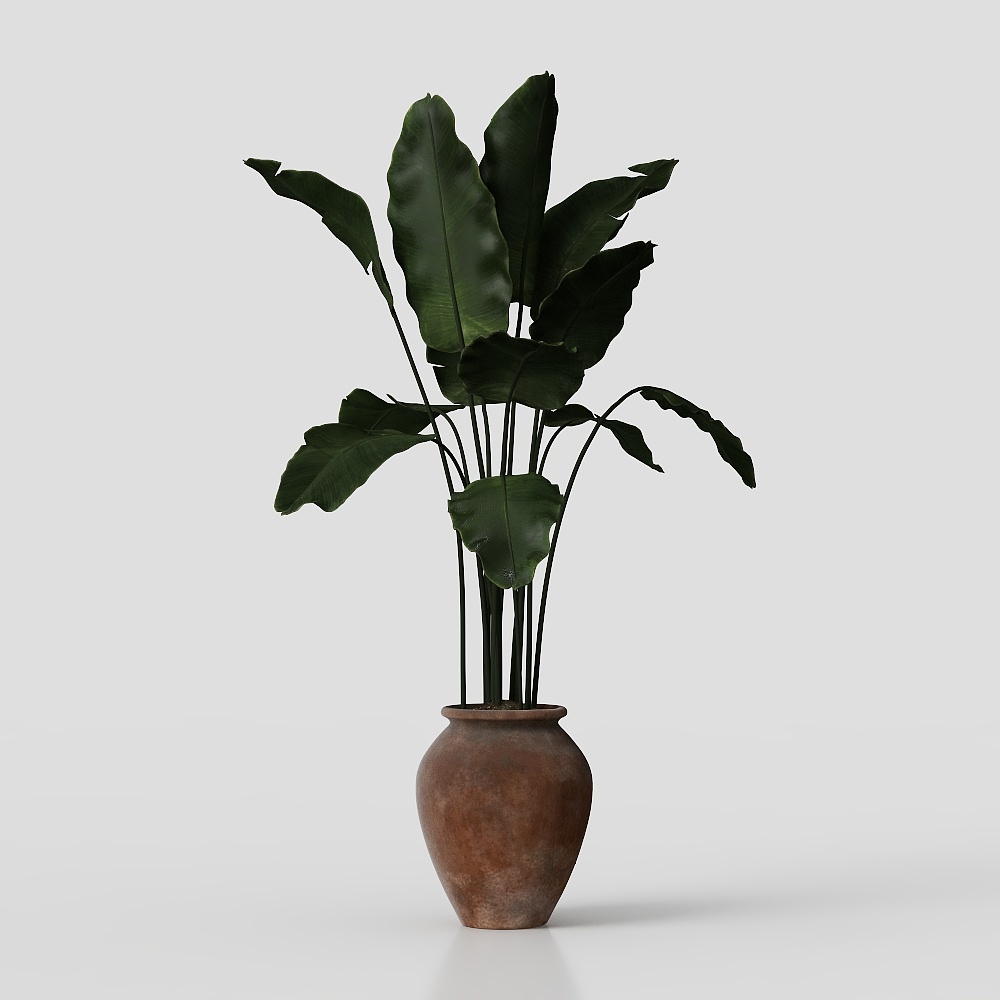 Tropical Greenery 3D Model – Low-Poly Plant Design