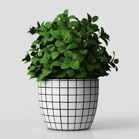 มินิแลนด์สเคป