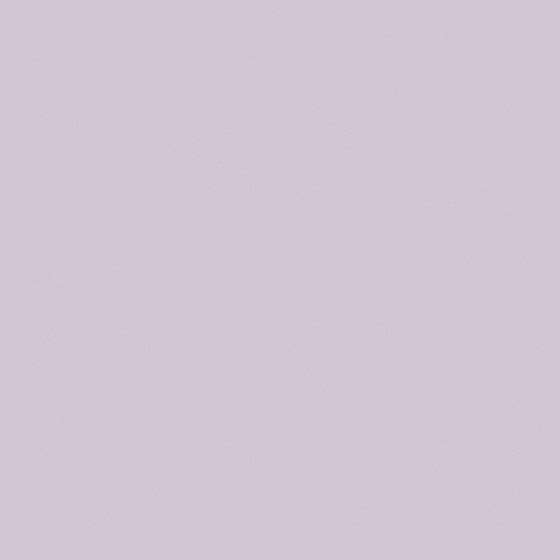 Matte Emulsion Paint 3D Model in Purple