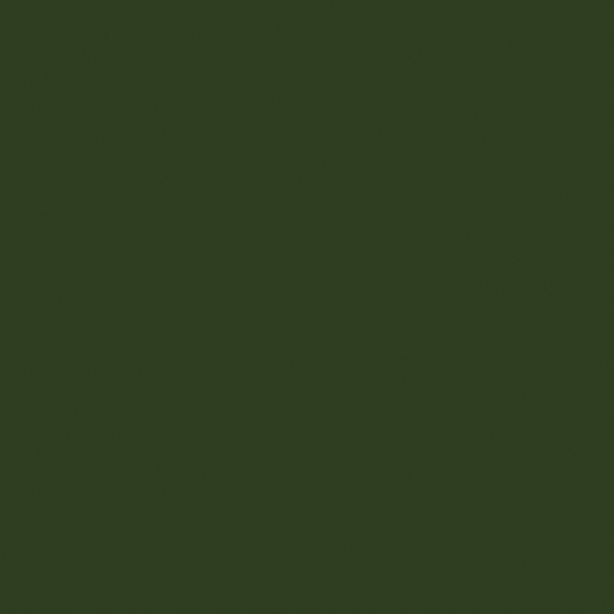 Emulsion paint-matte