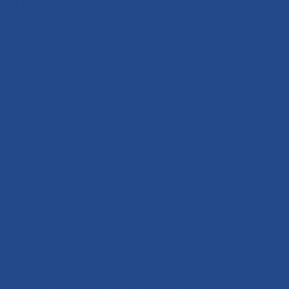 Emulsion paint-matte