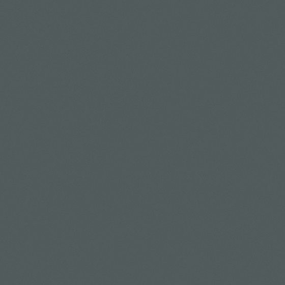 High Gloss Gray Emulsion Paint for Interiors
