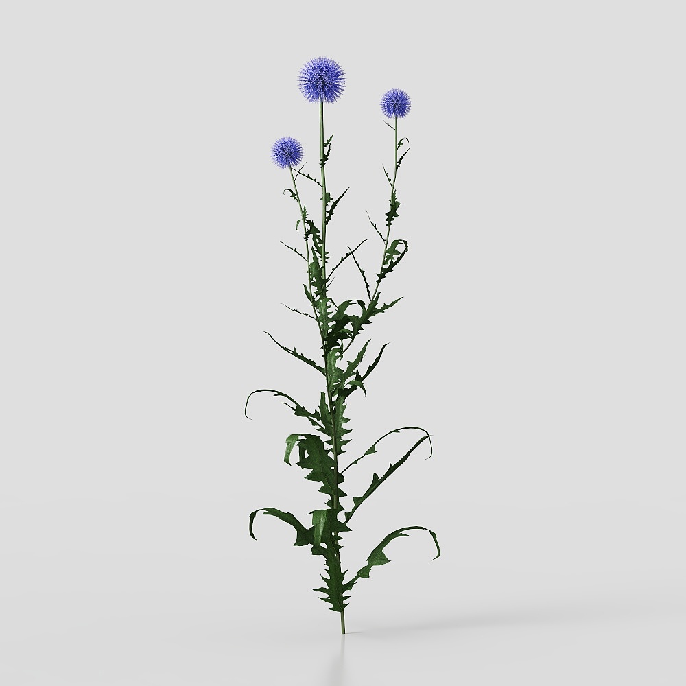 Shrub-Flower-4-230815-YJ
