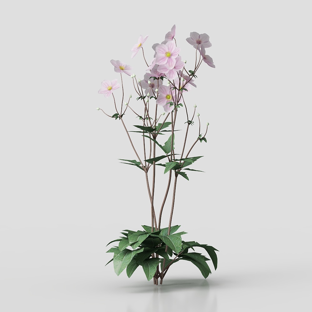 Shrub-Flower-7-230815-YJ