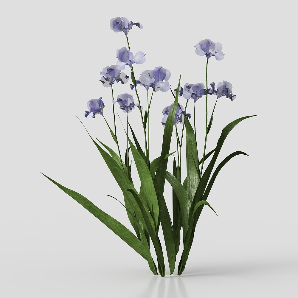 Shrub-Flower-5-230815-YJ