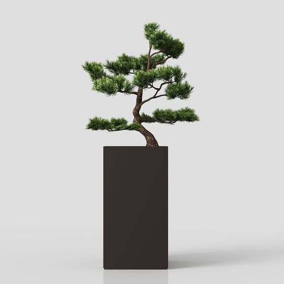 Elegant Miniature Pine Bonsai 3D Model for Creative Spaces