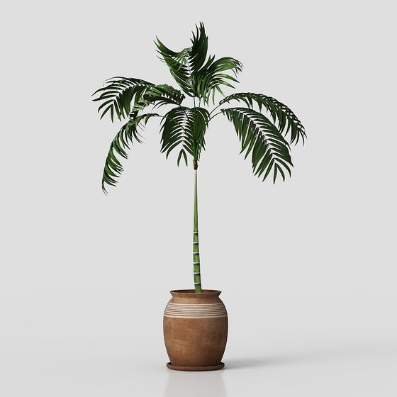 Stylish Indoor Plant 3D model for Creative Projects