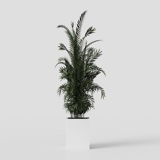 Tropical Style Plant 3D Model for Creative Designs