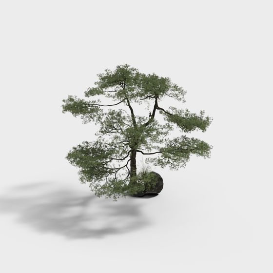 Low-Poly Detailed Tree 3D model