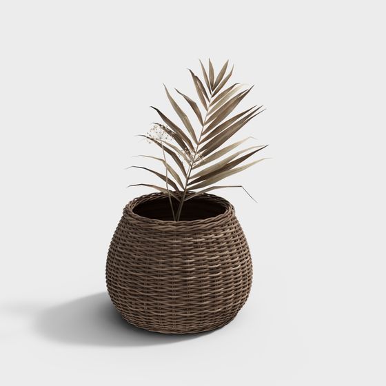 Woven Planter with Palm Leaf 3D model