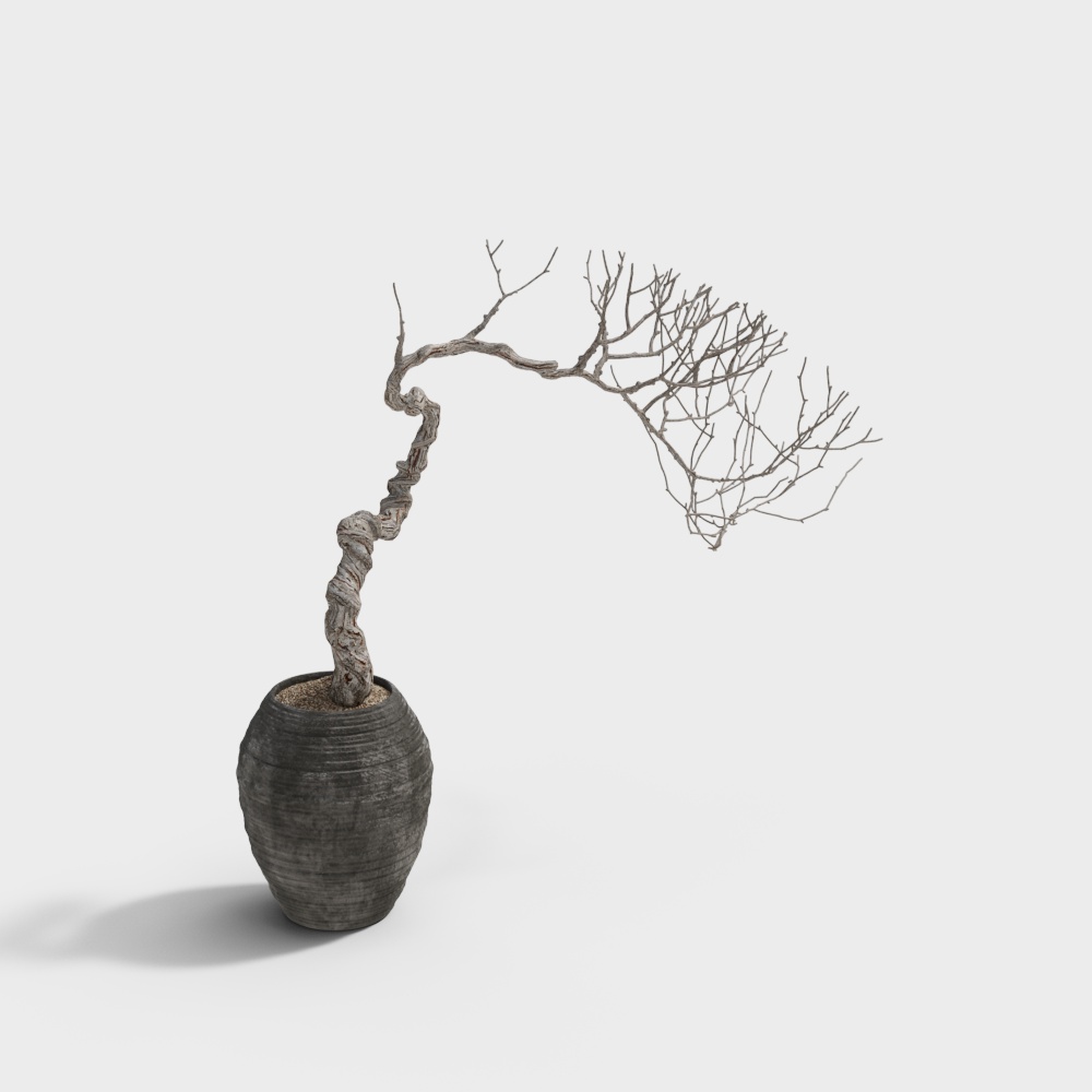 乾燥した枝の装飾品