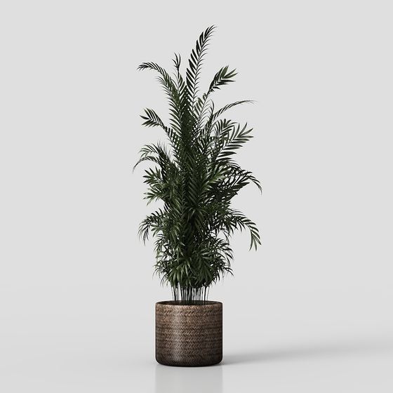 зеленые растения