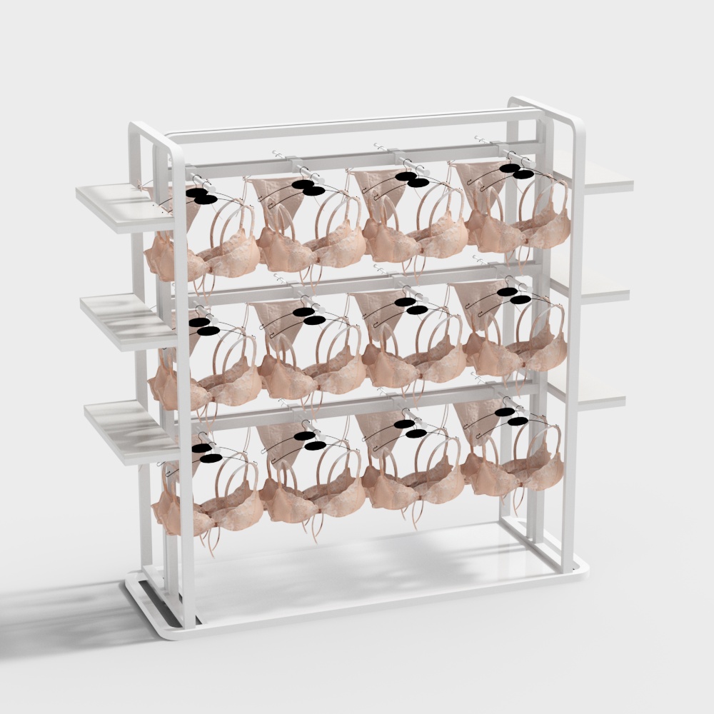 Elegant Lingerie Display Rack 3D model