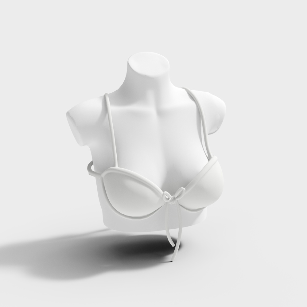 lingerie store underwear