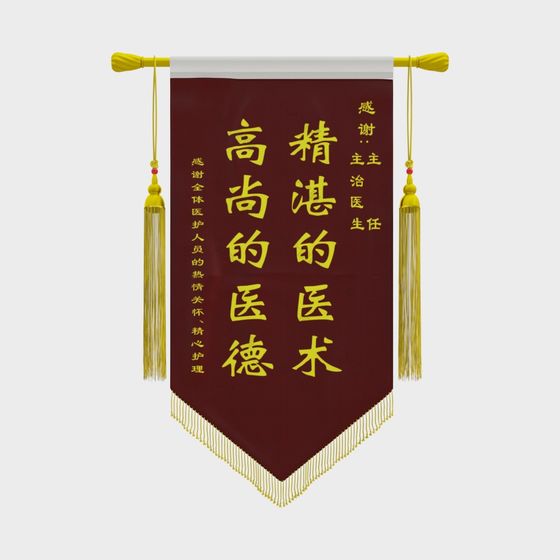 Beautifully Crafted Medical Honor Banner 3D model