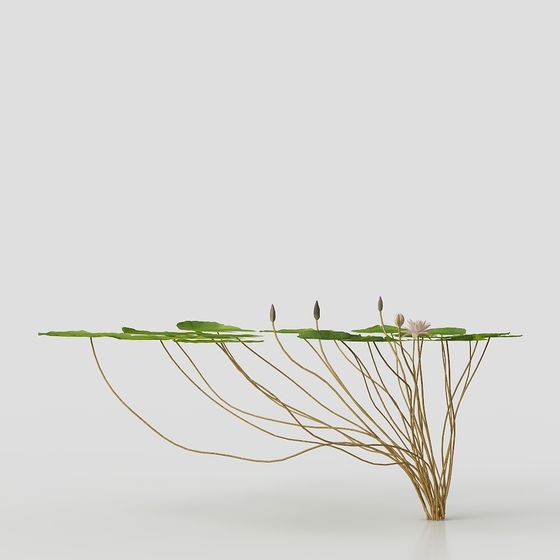 Water Lily Plant Table 3D model