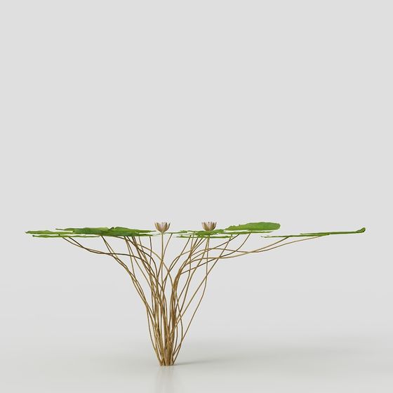 Beautiful Water Plant 3D model - Lotus Leaf and Buds