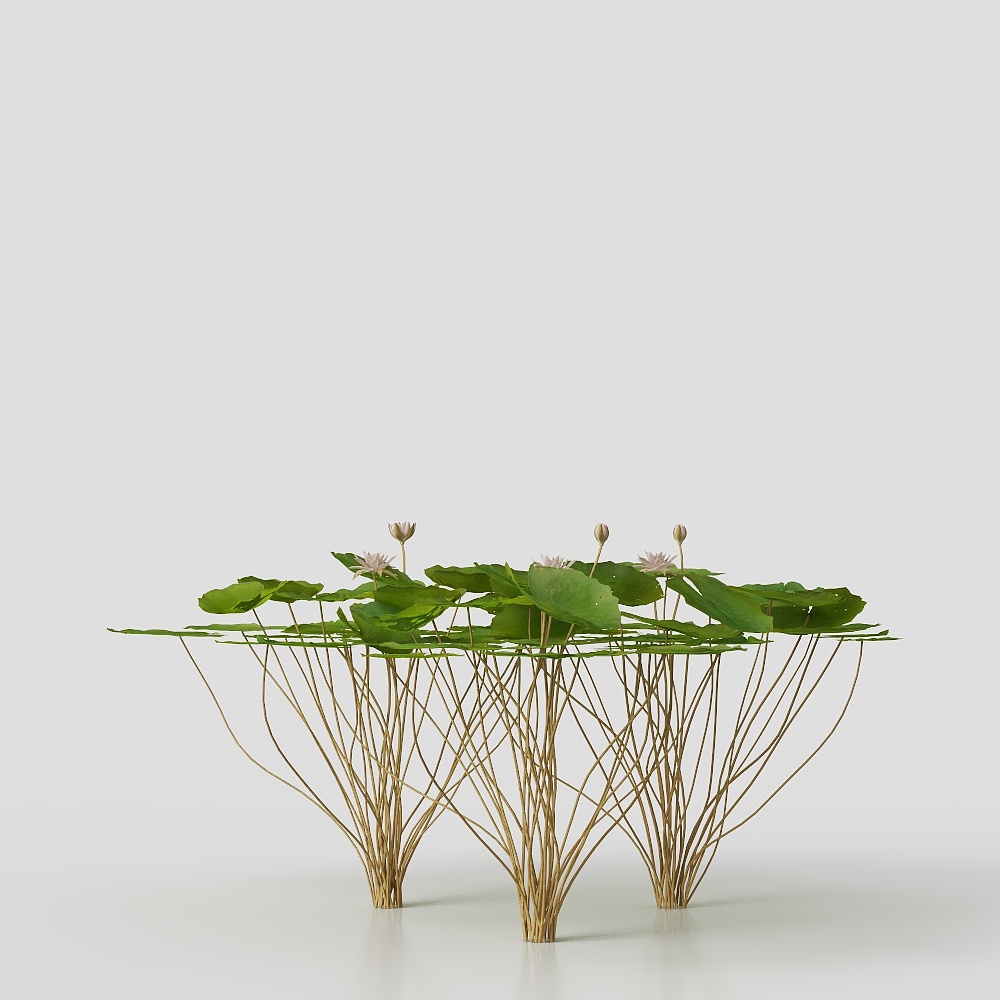 Decoración de flores Elemento decorativo