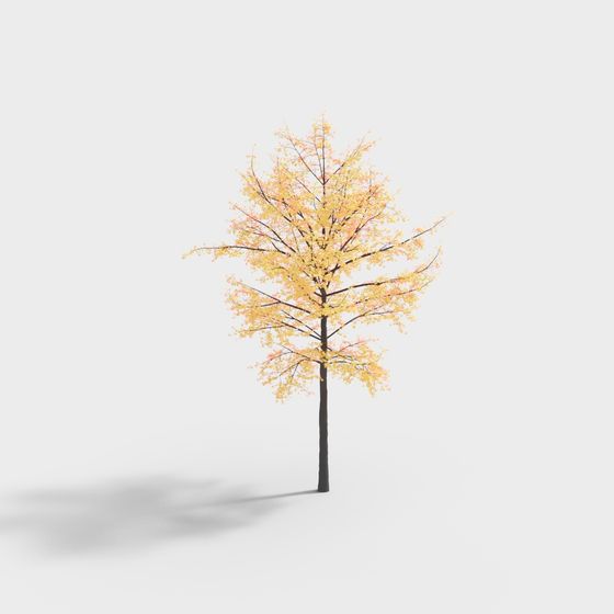 Autumn Maple Tree 3D model