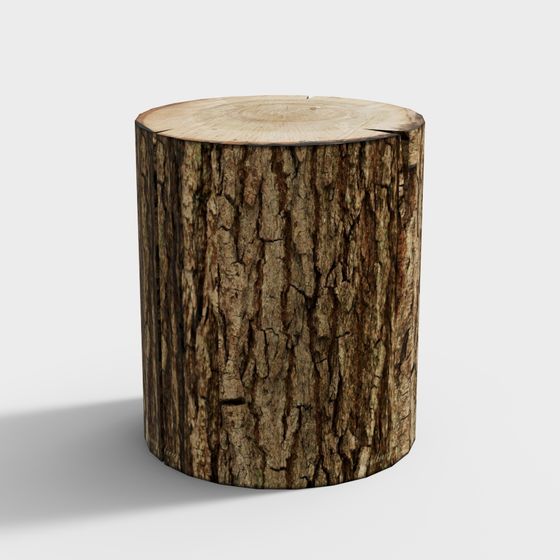 Tree Stump Side Table 3D model
