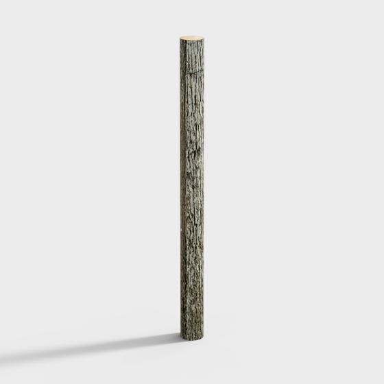 Detailed Low-Poly Tree Trunk 3D model